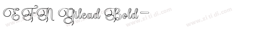 EFN Gilead Bold字体转换